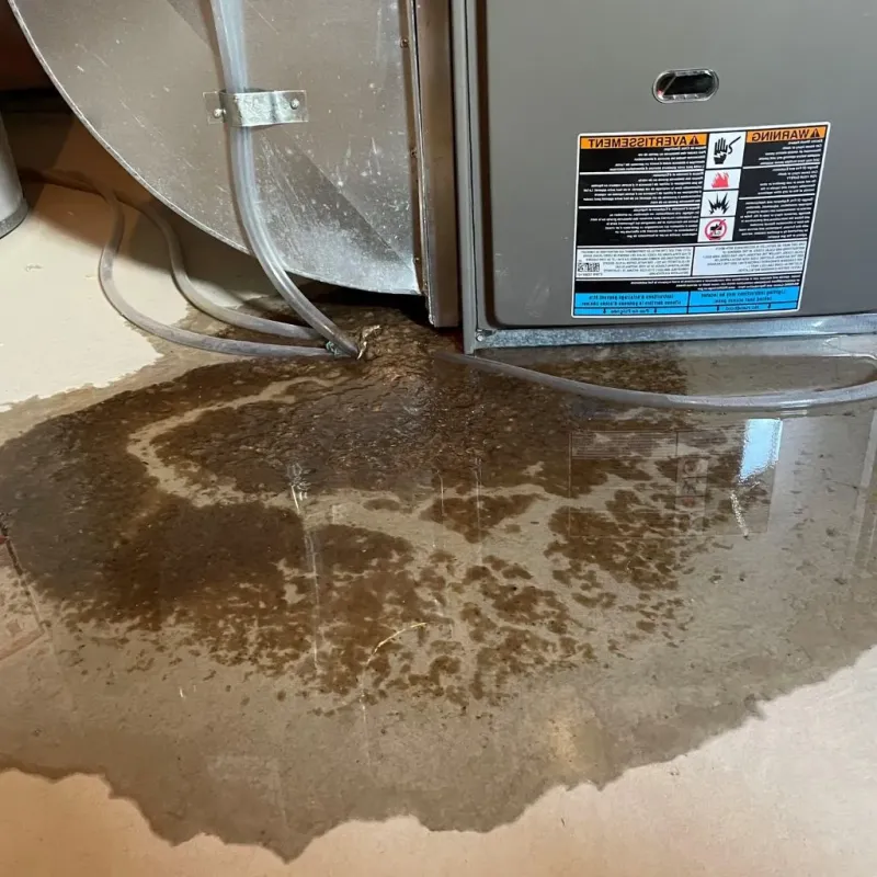 Pipe Burst and Leak Restoration in Yancey County, NC