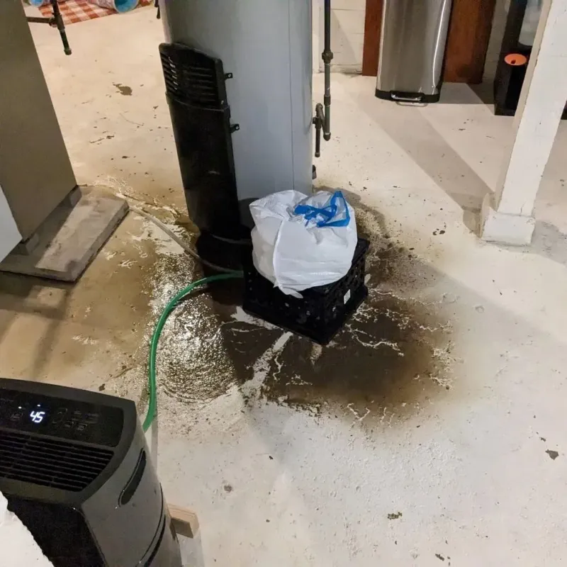 Sewage Backup Cleanup Service in Yancey County, NC